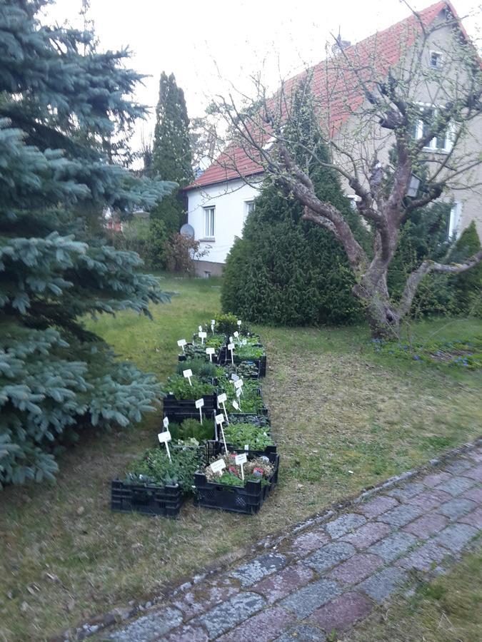 Kraeuter-Heidi Appartement Schwielowsee Buitenkant foto