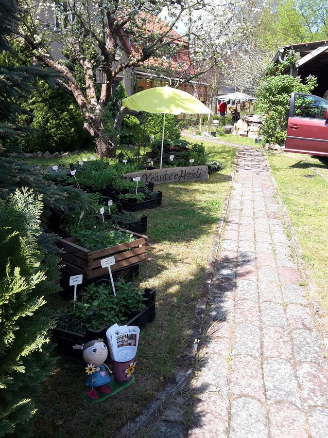 Kraeuter-Heidi Appartement Schwielowsee Buitenkant foto